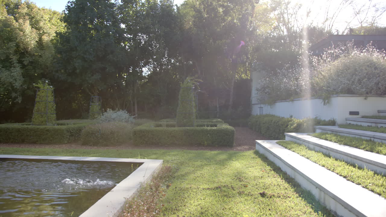 Sunlight streaming over modern garden with neatly trimmed hedges and steps, copy space