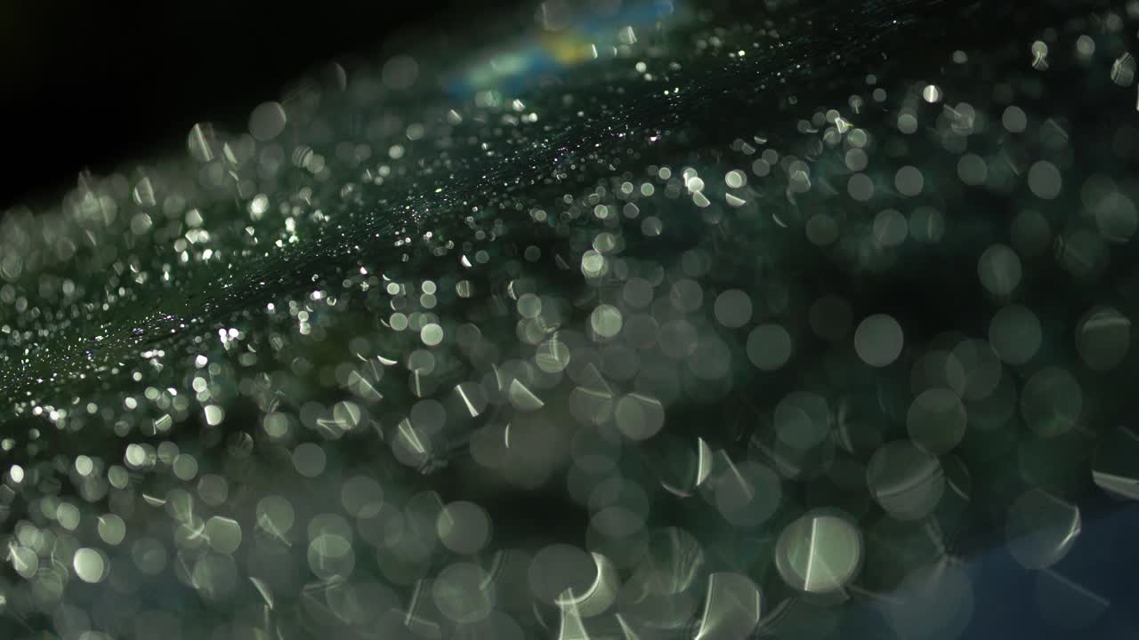 Macro shot of sparkling raindrops over a dark wet surface with beautiful bokeh light
