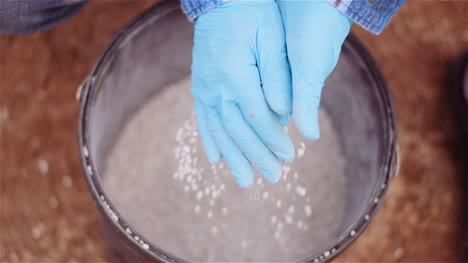 Farmer-Examining-Herbicides-Fertilizer-In-Hands-Before-Fertilizing-Agriculture-Field-5