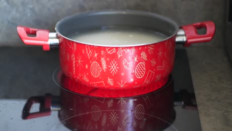 red christmas pot on stove