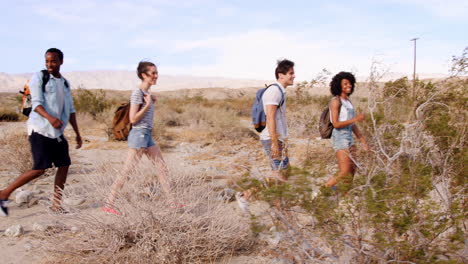 five young adults hiking in palm springs desert, side view