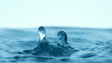 water splash and ripple