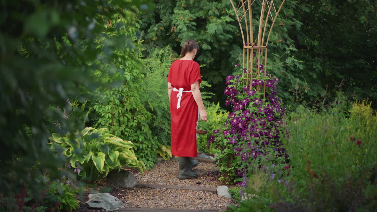 Donna in abito rosso percorre un sentiero di ciottoli attraverso un rigoglioso giardino rustico, si ferma accanto a una clematide viola su un traliccio di legno, la luce del sole mattutina screzia le foglie di hosta, giardiniera in passeggiata contemplativa, calma e vibrante.