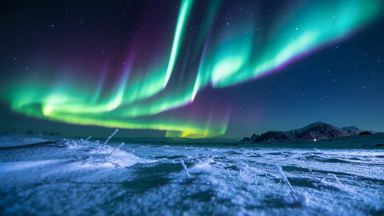 Telecamera panoramica che mostra tende aurorali che ondeggiano su una pianura ghiacciata di notte, con stelle e ramoscelli brinati
