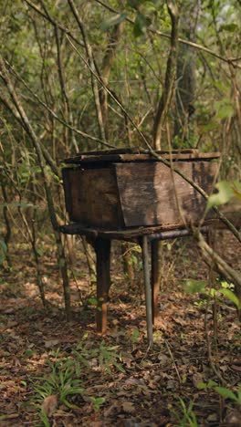 en un campo con abejas de la caja de miel volando en el concepto de apicultura colmena