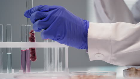 scientific experiment with test tubes and samples