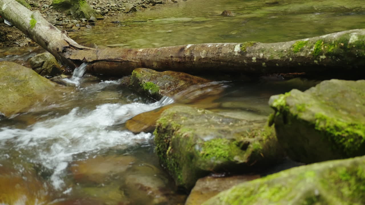 쓰러진 나무 위로 계류를 건너다 사람이 장애물을 건너다 신발만 신고 vi