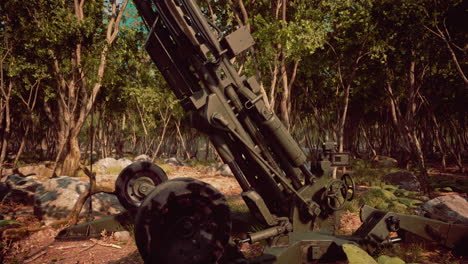 big-gun-cannon-in-the-forest