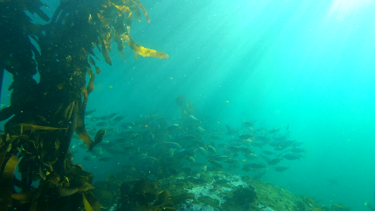 There's so much beauty beneath the surface