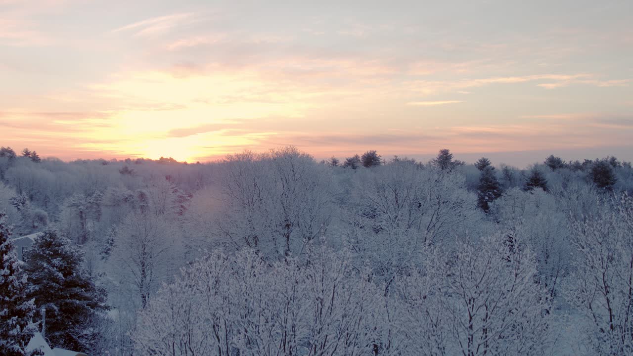 눈 덮인 단풍나무 뒤에서 일직선으로 솟아오르는 드론이 왼쪽의 일출과 신선한 봄 눈으로 덮인 전체 지역을 보여줍니다.
