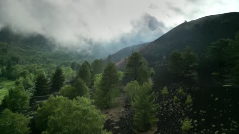 Flug-über-Den-Wald-In-Einer-Sehr-Dunklen-Situation-Mit-Dunklem-Boden,-Grüner-Vegetation,-Weißen-Stämmen-Und-Bedrohlich-Niedrigen-Wolken