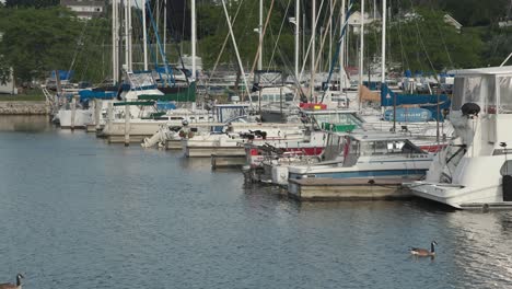 side view of the marina