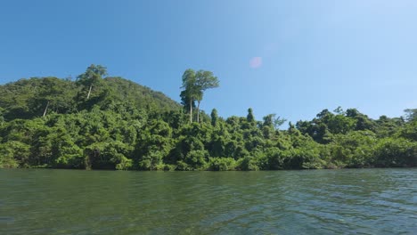 tropical wasai rainforest at the mountains in kali biru in raja ampat, national reserve, indonesia