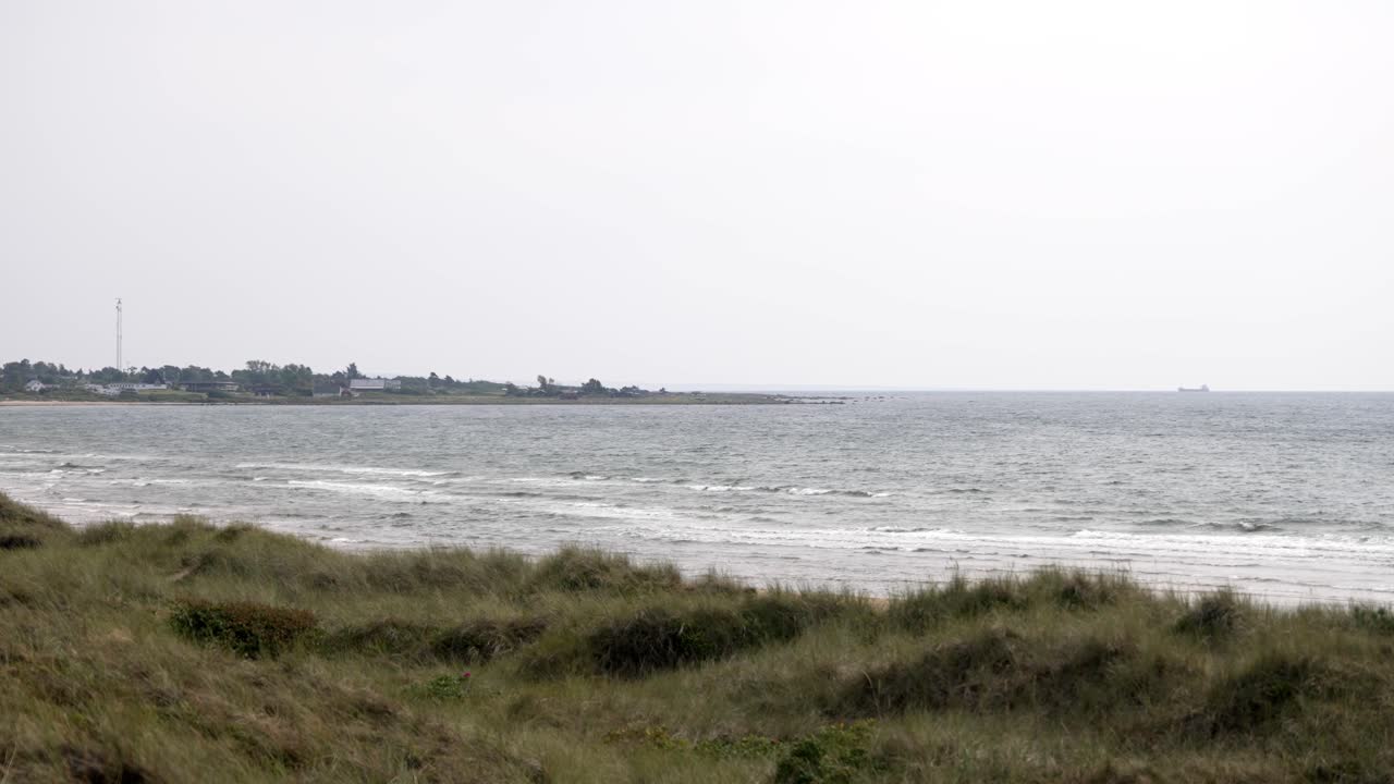 A wide shot of a Swedish beach under an overcast sky. Tall coastal grass stands in the foreground, while a distant peninsula with small buildings peeks through the misty horizon.