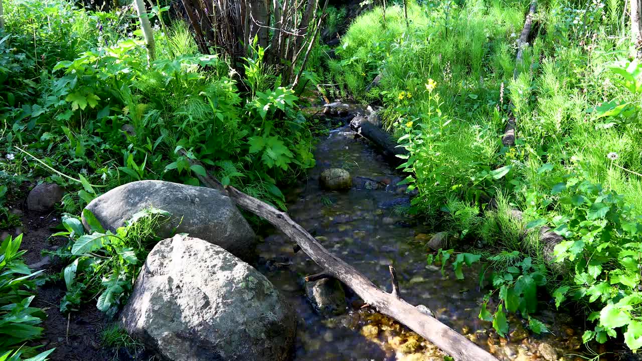 Static video of a scenic creek in Breckenridge Colorado. Water can be seen calmly flowing down through rocks.
