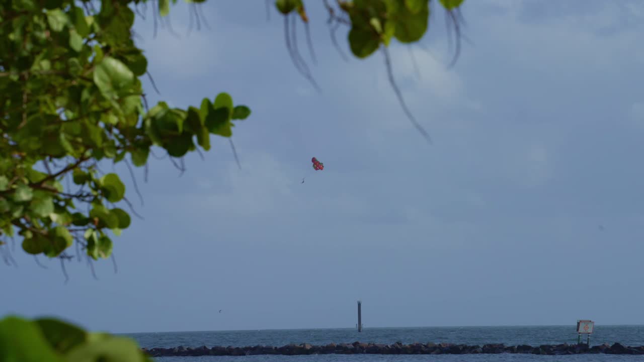 A distant parasail drifts through a blue sky above open water, framed by lush coastal greenery and a long breakwater.