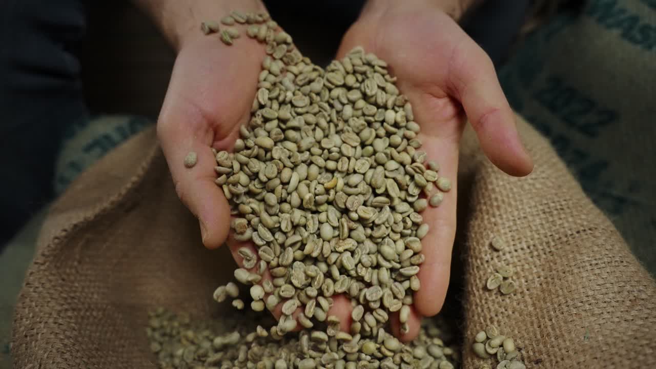 Hands Holding Green Coffee Beans