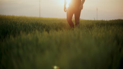 farmer walking in farm at sunset