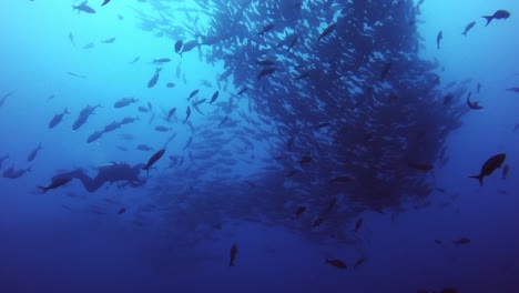 buzo con una enorme escuela de peces en el océano
