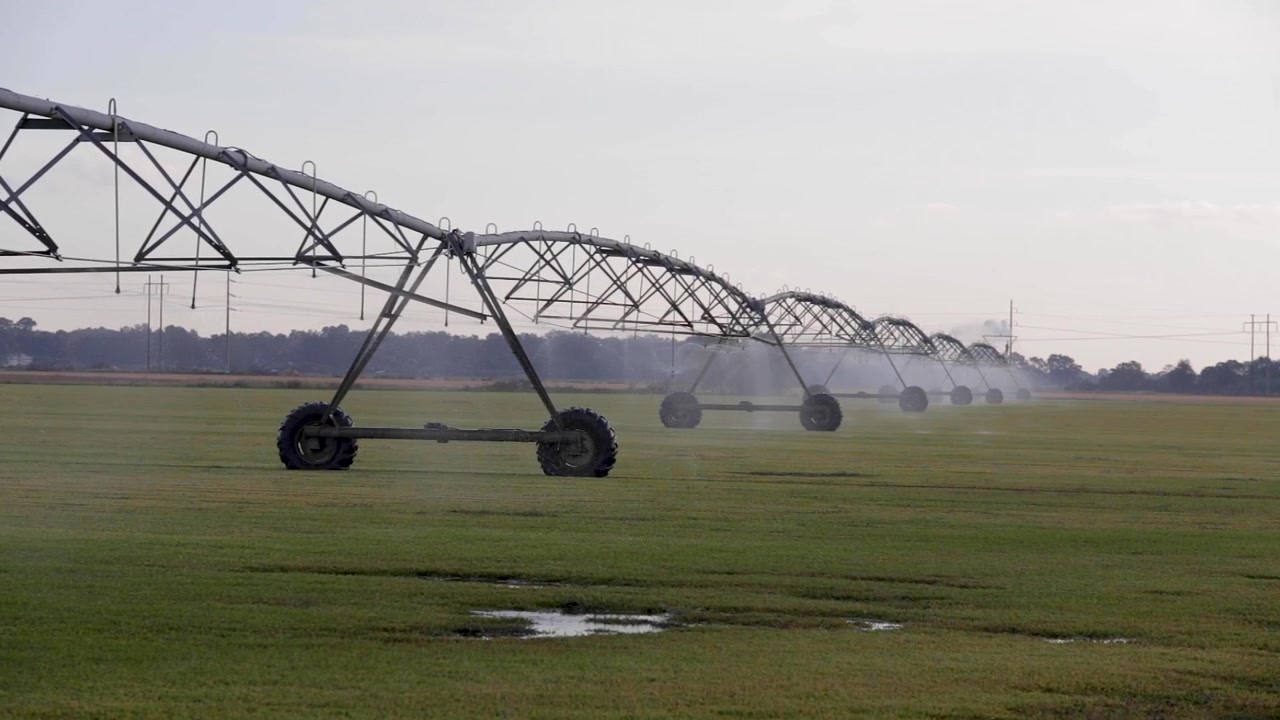 Large farming equipment and sprinkler watering early morning sunrise on commercial farm