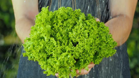 Chef-Holds-Lettuce-Leaves-Under-Running-Water-Slow-Motion