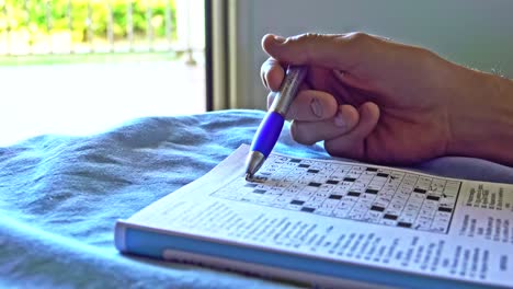 leisure time, woman makes crossword puzzle on vacation