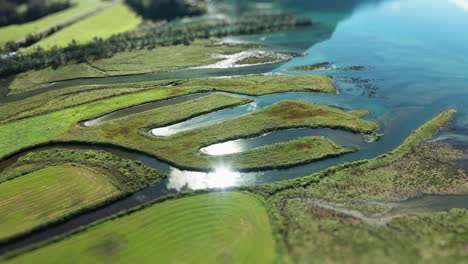 a swampy wetlands on the edge of the fjord