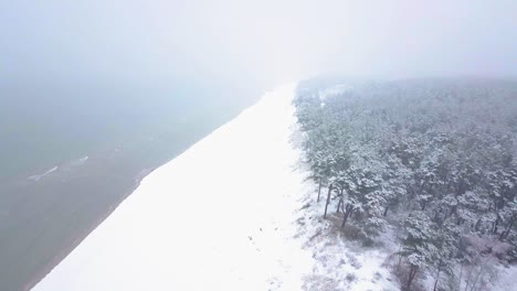 beautiful aerial footage of trees covered with snow, light snow falling, nordic woodland pine tree forest, baltic sea coast, wide establishing drone shot moving forward