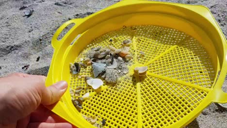 tamiz agitado con shels y arena en la playa
