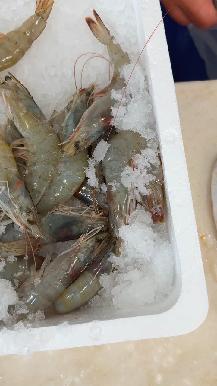 Fresh Raw Shrimp on Ice