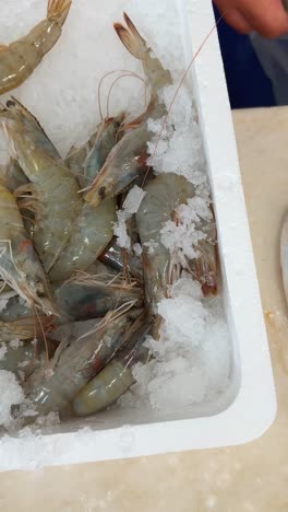fresh raw shrimp on ice