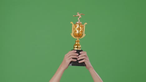 raised hands of a man are holding a trophy. green screen background