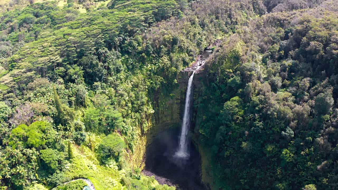 A drone orbits a narrow rainforest waterfall that plunges in a silver ribbon into a circular, shadowed basin, mist drifting across mossy cliffs and dense emerald canopy with hushed power