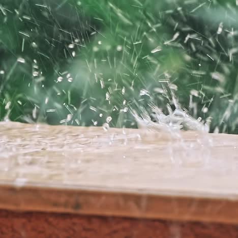 las fuertes lluvias del bosque tropical.