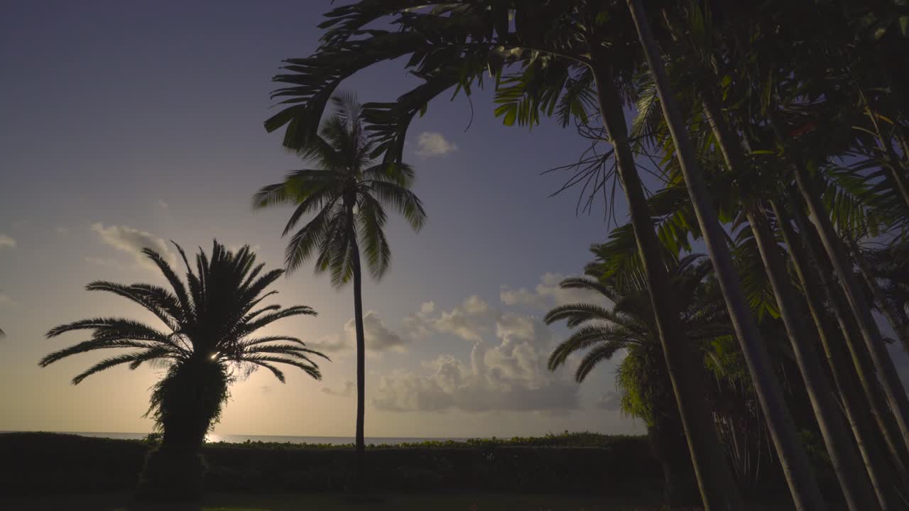 el tiempo del atardecer sobre la playa tropical con la palmera suavemente brisa concepto de vacaciones vacaciones