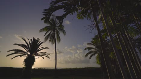 Zeitraffer-Des-Sonnenuntergangs-über-Dem-Tropischen-Strand-Mit-Palmen,-Sanfte-Brise,-Urlaubskonzept