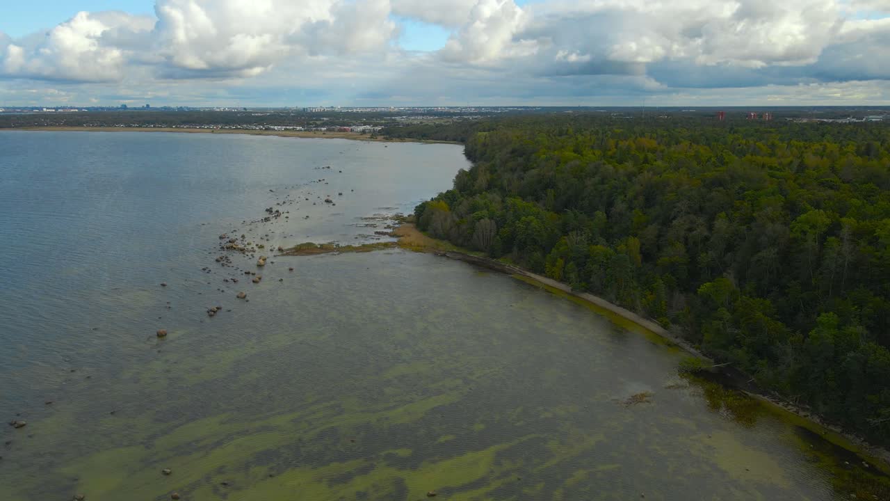 Aerial drone footage flying above a gorgeous nordic beach seaside shoreline and a cliff bank with a thick leafy forest on the shores. Shallow blue ocean sea water with sandy bottom and seaweed visible