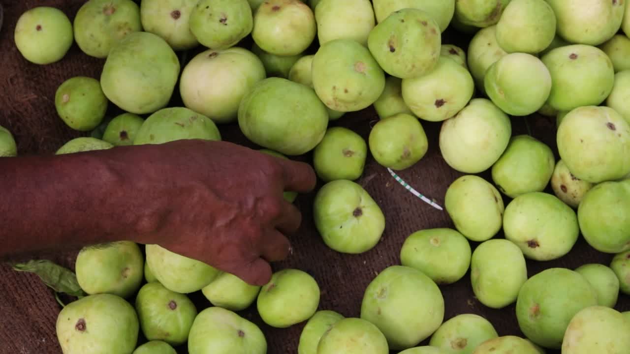 vegetales verdes orgánicos frescos de la granja cerca desde un ángulo diferente