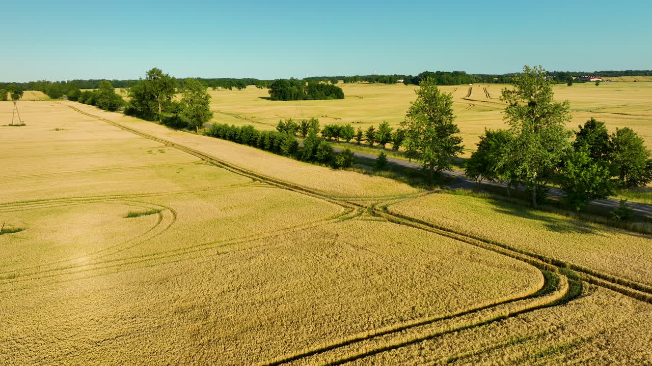 Aerial view of golden wheat fields intersected by a road, showcasing the expansive rural landscape under a clear blue sky