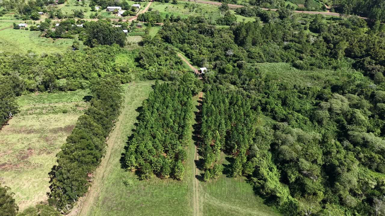 Drone aerial view of green farmlands and forest plantations in Panambi Misiones Argentina, sustainable agriculture and ecology