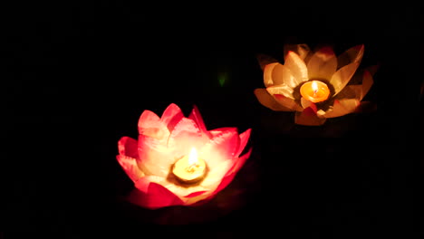 lotus lanterns at night