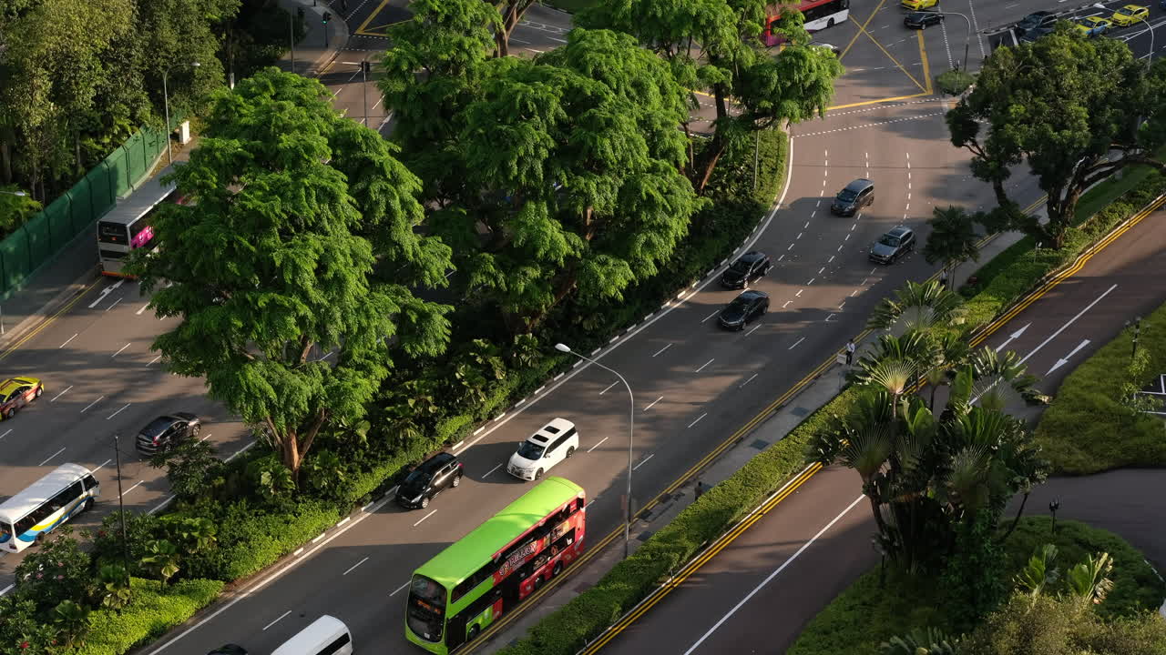 교통과 나무와 함께 도시 거리 풍경