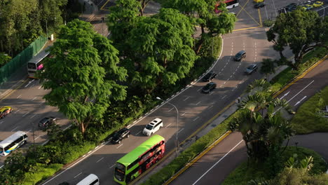 city street view with traffic and trees