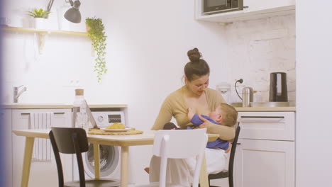 young mother working with laptop computer and breastfeeding her baby boy at home