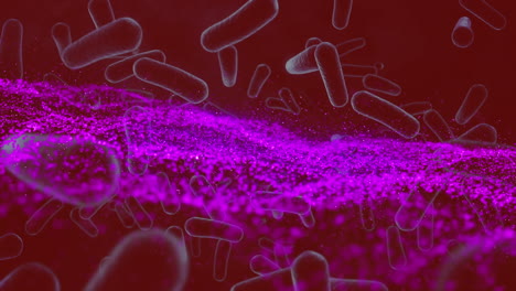 animation of purple wave over moving cells on red background