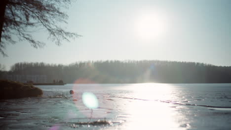 ice-sun-lake-edge