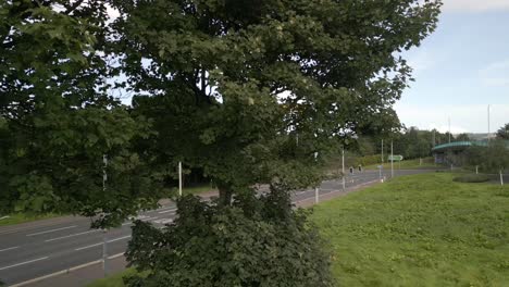 left to right reveal as the camera passes trees to show the harland and wolff cranes
