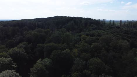volando sobre un bosque oscuro en un día nublado