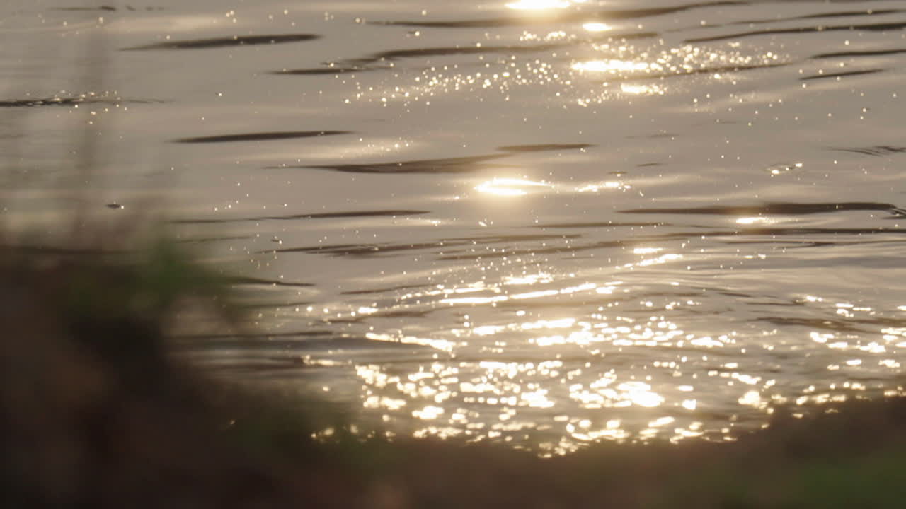 Golden Reflections on Water