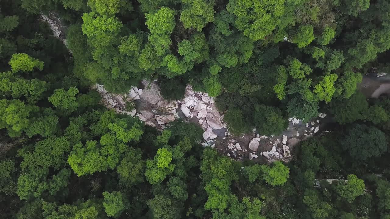 vista aérea de un río forestal